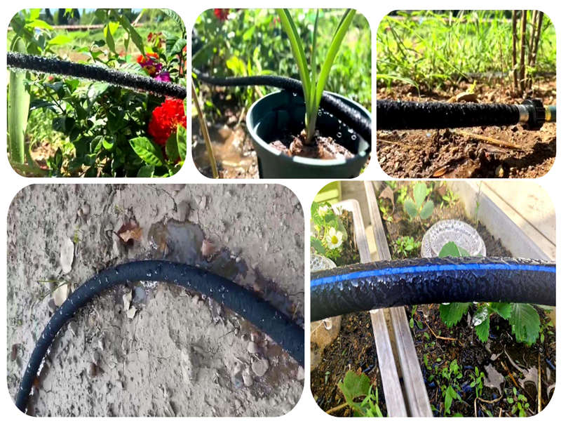 Gomat e mbeturinave bëhen venat e ujit: Tubat e infiltrimit të gomës ndihmojnë bujqësinë e shkretëtirës